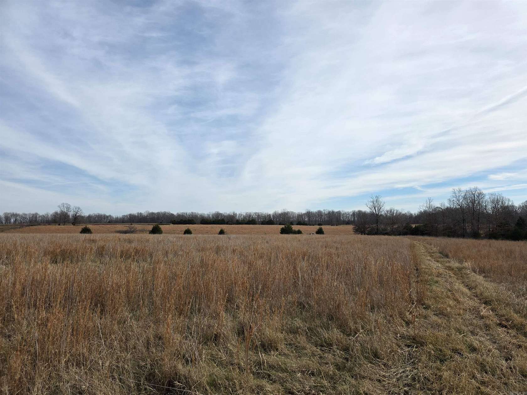 40 Acres of Agricultural Land for Sale in Ravenden, Arkansas