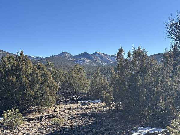 10.3 Acres of Land for Sale in Datil, New Mexico