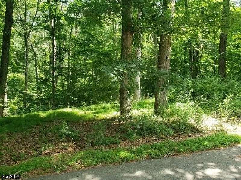 1.56 Acres of Residential Land for Sale in Byram Township, New Jersey