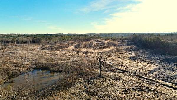 30 Acres of Land for Sale in Booneville, Mississippi