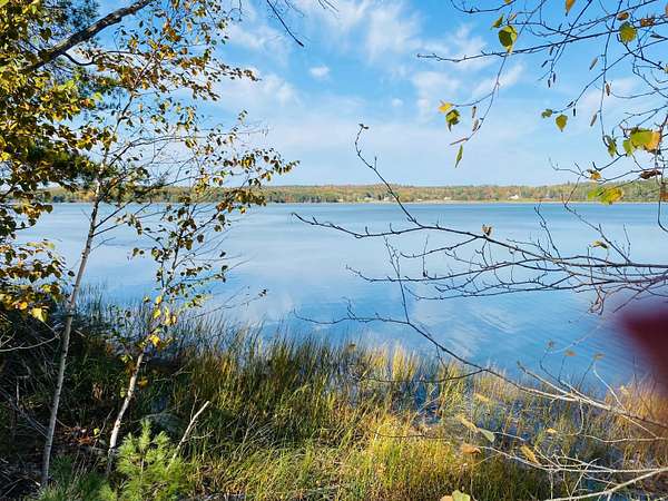 42 Acres of Land for Sale in Franklin, Maine