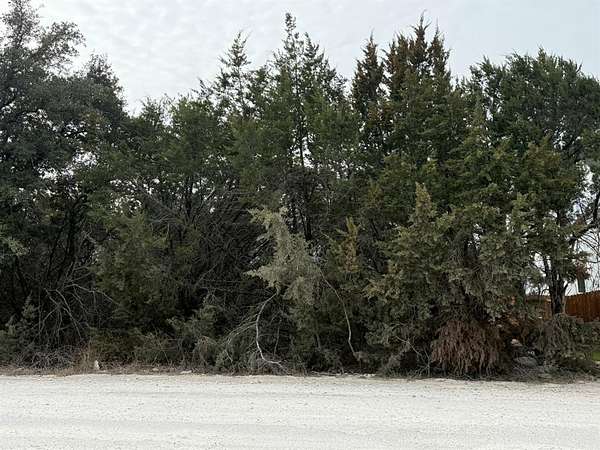 0.03 Acres of Residential Land for Sale in Granbury, Texas