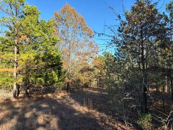 20 Acres of Recreational Land for Sale in Fort Towson, Oklahoma