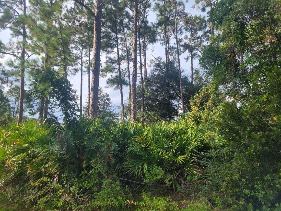 1.14 Acres of Residential Land for Sale in Hastings, Florida