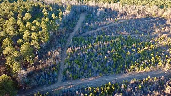 66 Acres of Recreational Land for Sale in Leola, Arkansas