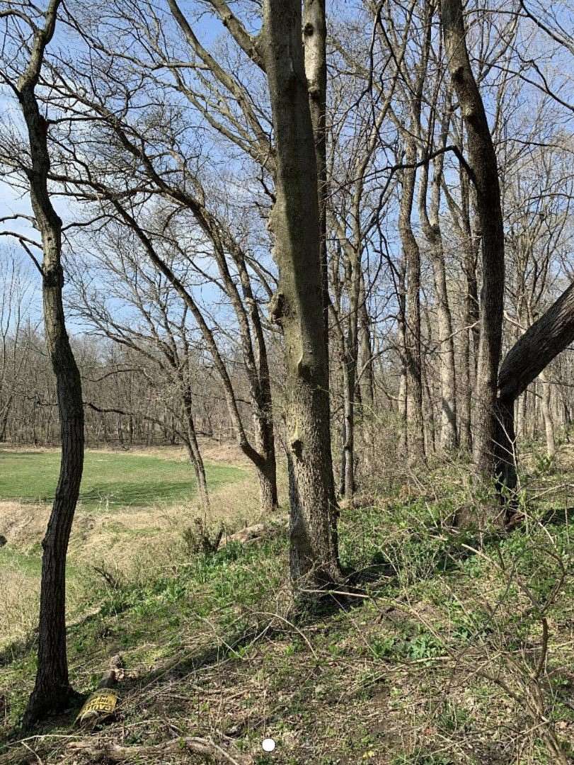 3 Acres of Residential Land for Sale in Morris, Illinois
