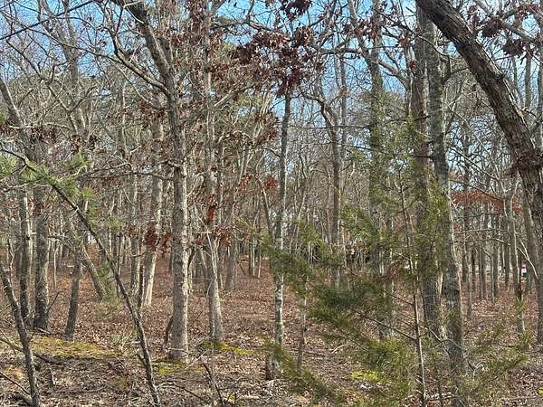 0.92 Acres of Land for Sale in Little Egg Harbor Township, New Jersey