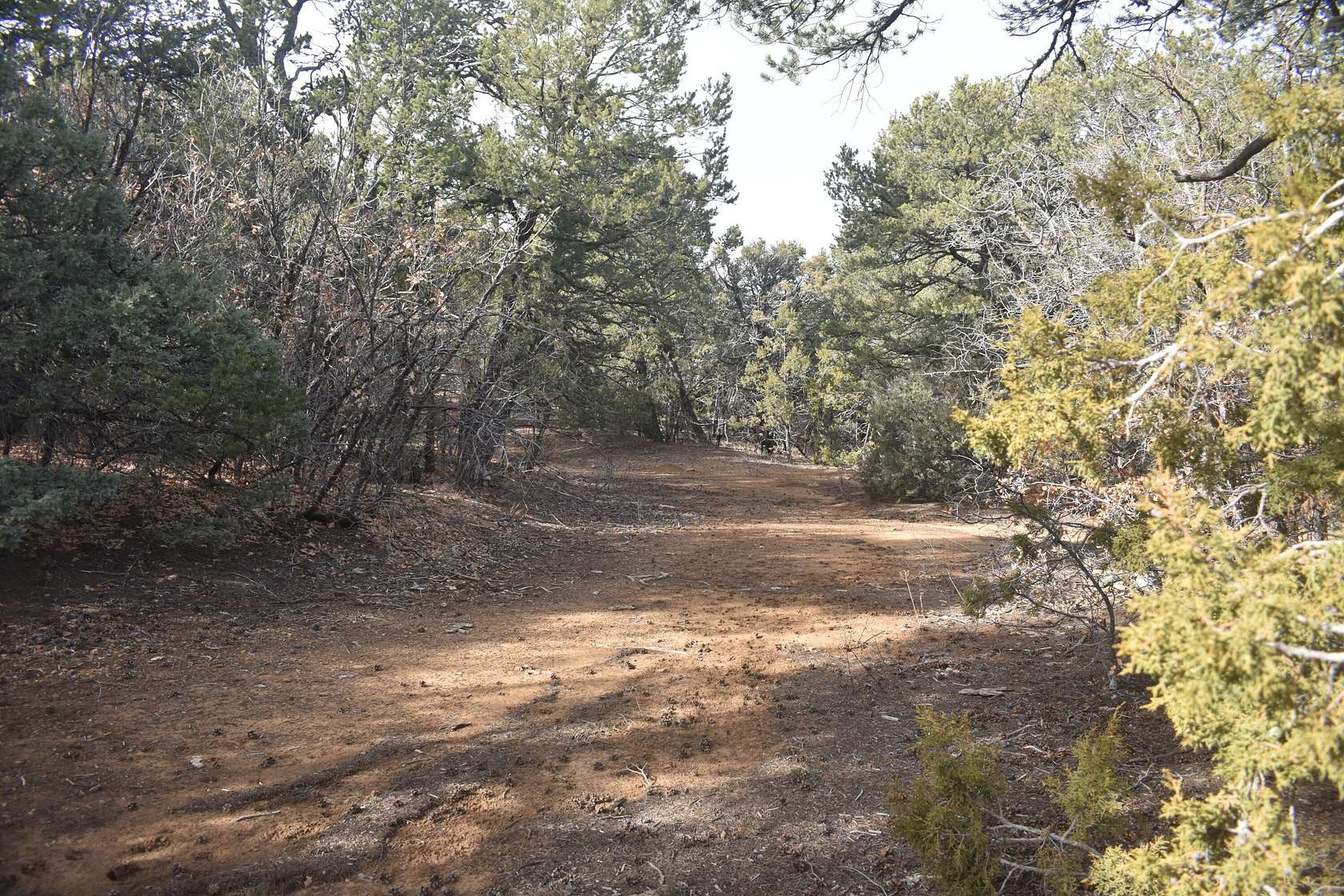 0.49 Acres of Land for Sale in Tijeras, New Mexico
