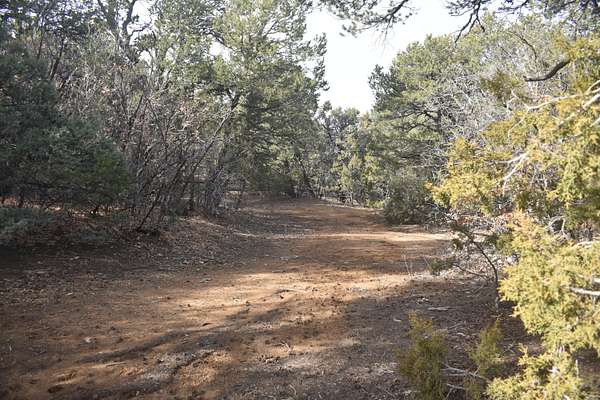 0.49 Acres of Land for Sale in Tijeras, New Mexico