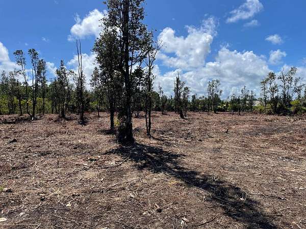 1 Acre of Residential Land for Sale in Keaau, Hawaii