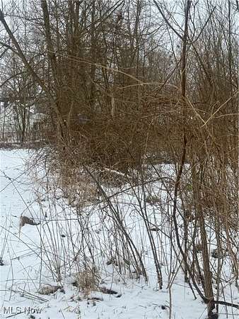 0.17 Acres of Land for Sale in Warren, Ohio