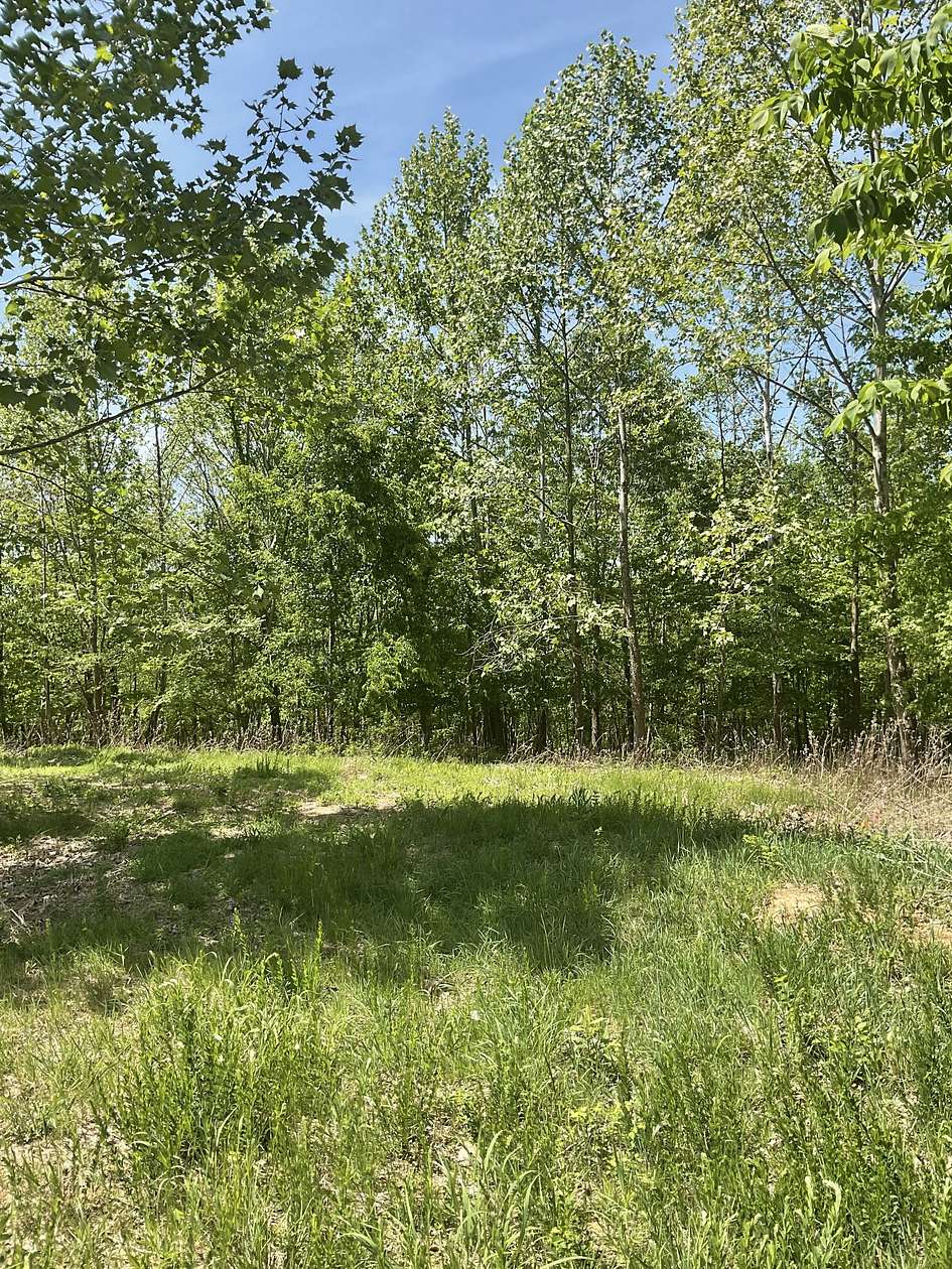 8.28 Acres of Residential Land for Sale in Dover, Tennessee