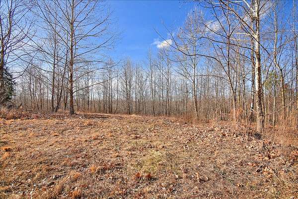 8.28 Acres of Residential Land for Sale in Dover, Tennessee