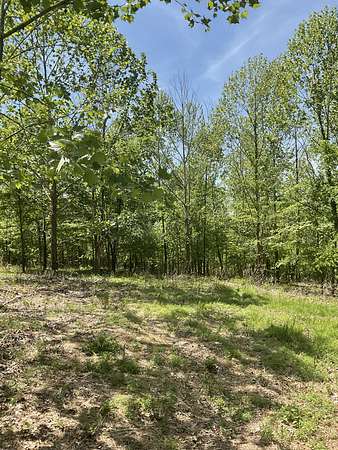 8.28 Acres of Residential Land for Sale in Dover, Tennessee