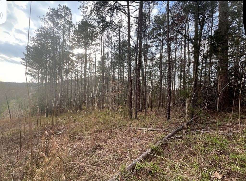 5.8 Acres of Residential Land for Sale in Louisa, Kentucky