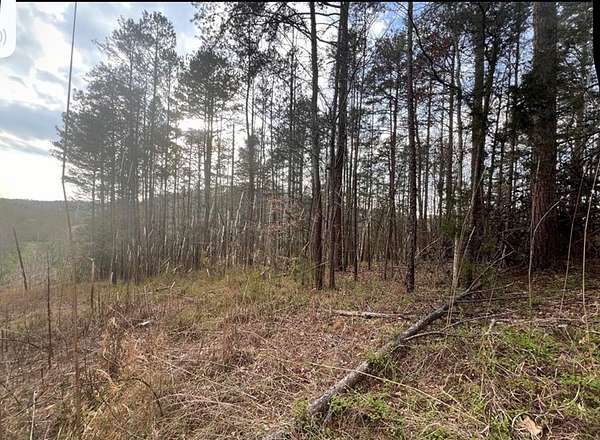 5.8 Acres of Residential Land for Sale in Louisa, Kentucky