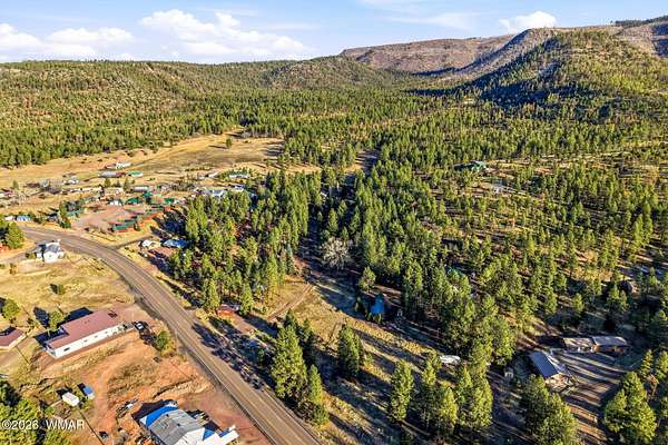 0.44 Acres of Land for Sale in Alpine, Arizona