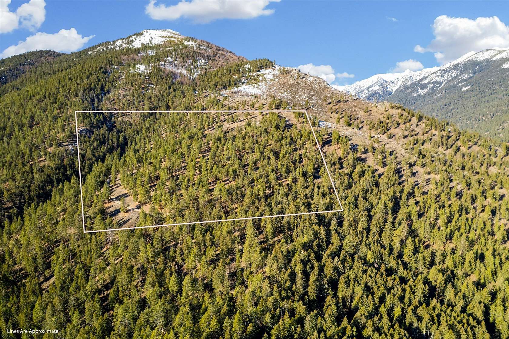 38.1 Acres of Recreational Land for Sale in Victor, Montana