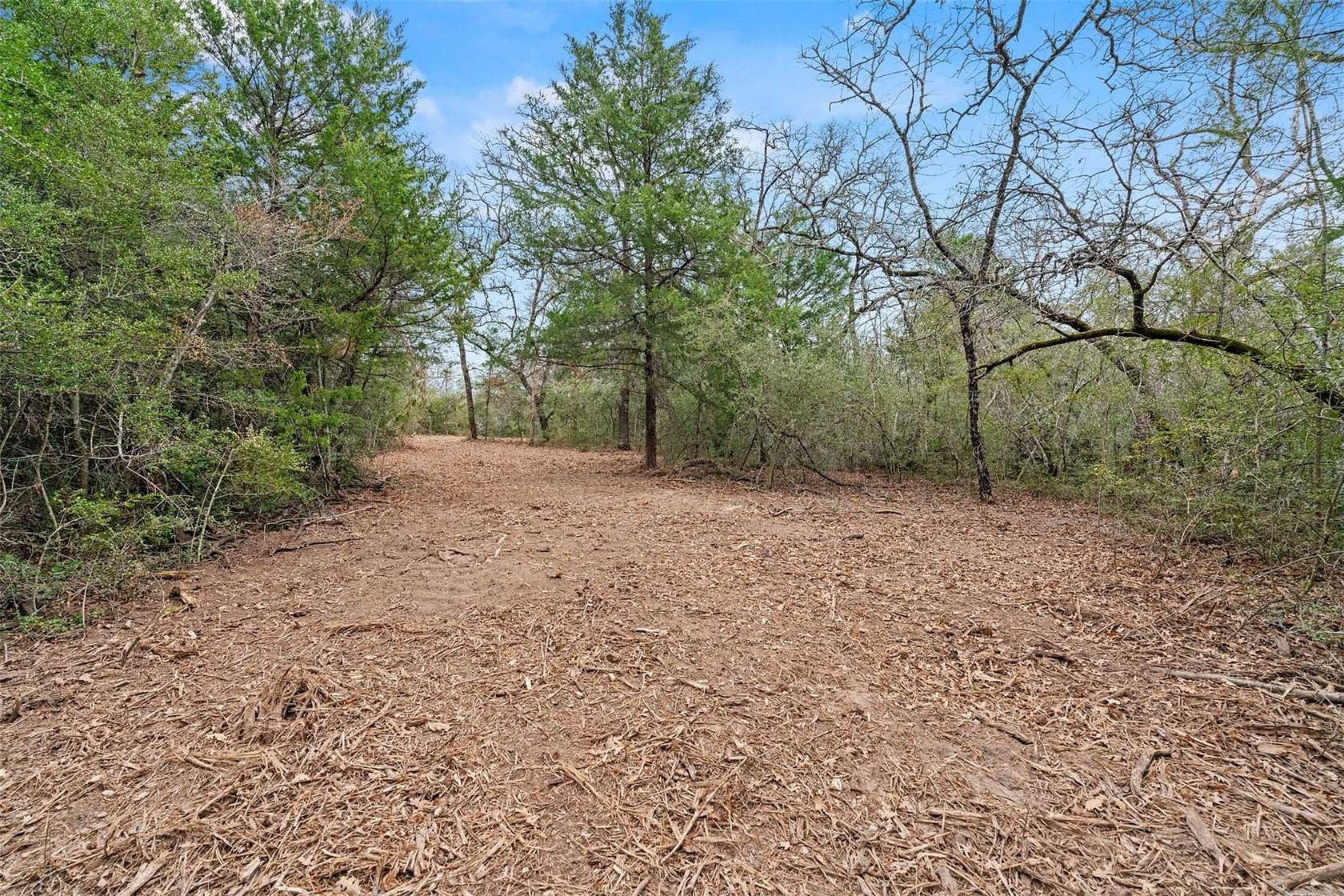11.1 Acres of Recreational & Residential Land for Sale in Rockdale, Texas