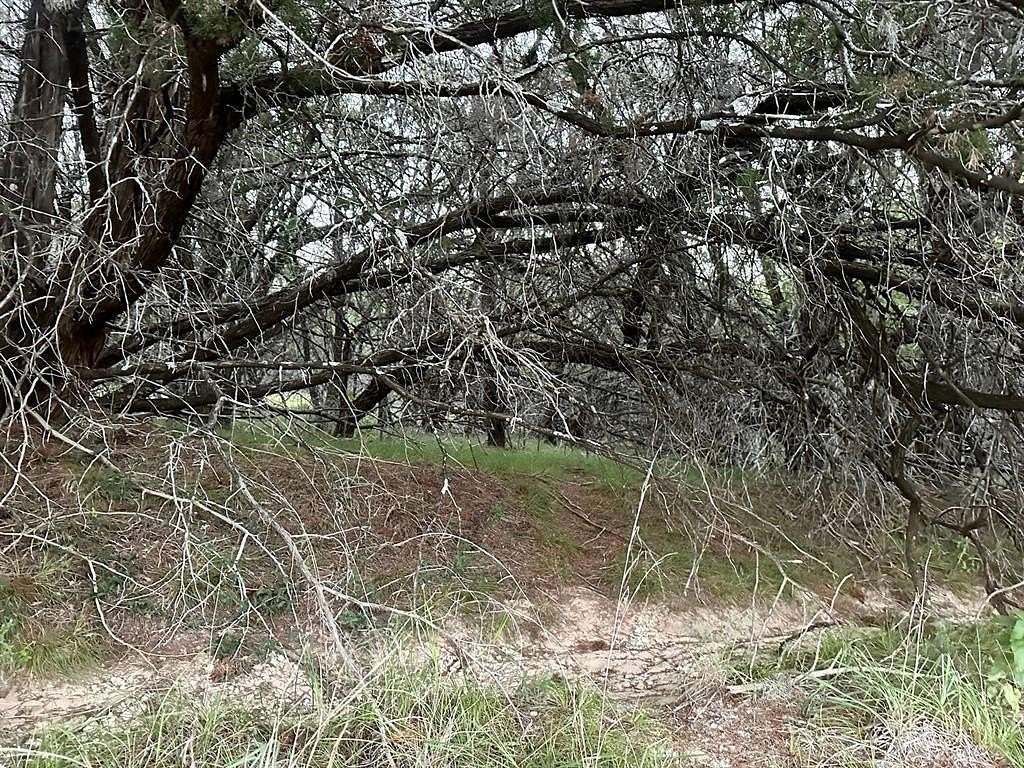 0.22 Acres of Residential Land for Sale in Lago Vista, Texas