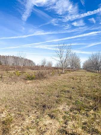 2.26 Acres of Residential Land for Sale in Naylor, Georgia