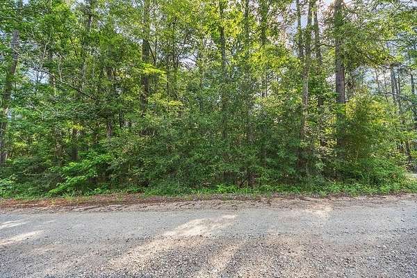 0.19 Acres of Residential Land for Sale in Brookeland, Texas