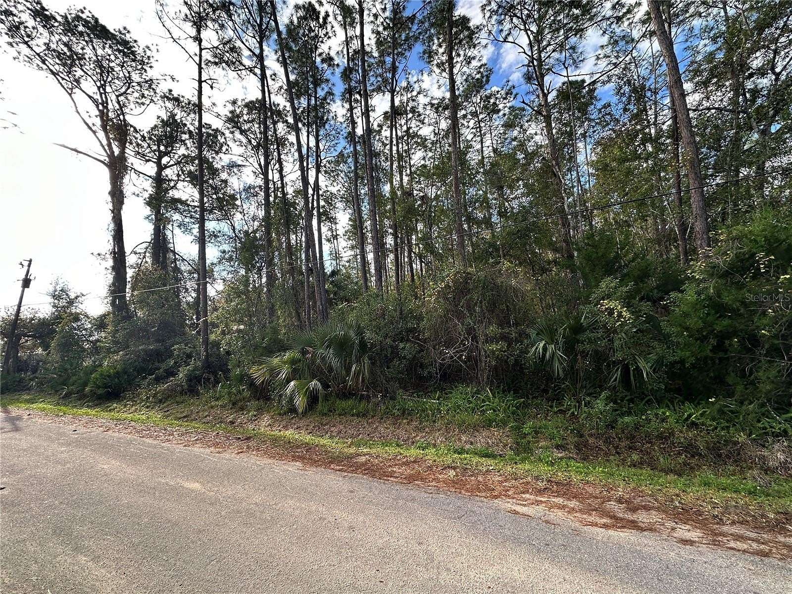 0.24 Acres of Residential Land for Sale in Bunnell, Florida