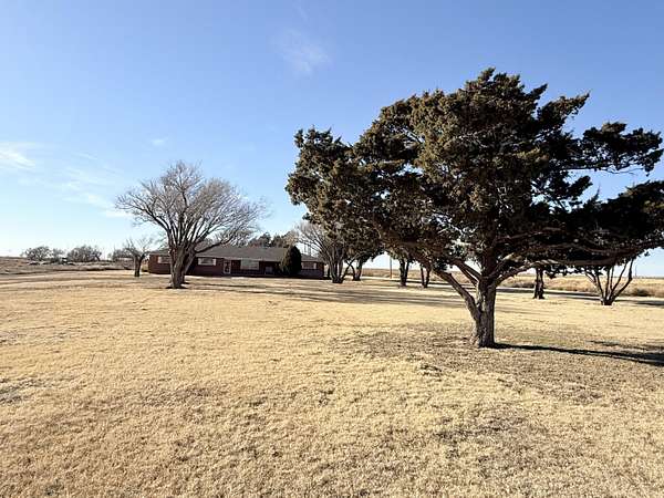 1.78 Acres of Residential Land with Home for Sale in Hart, Texas