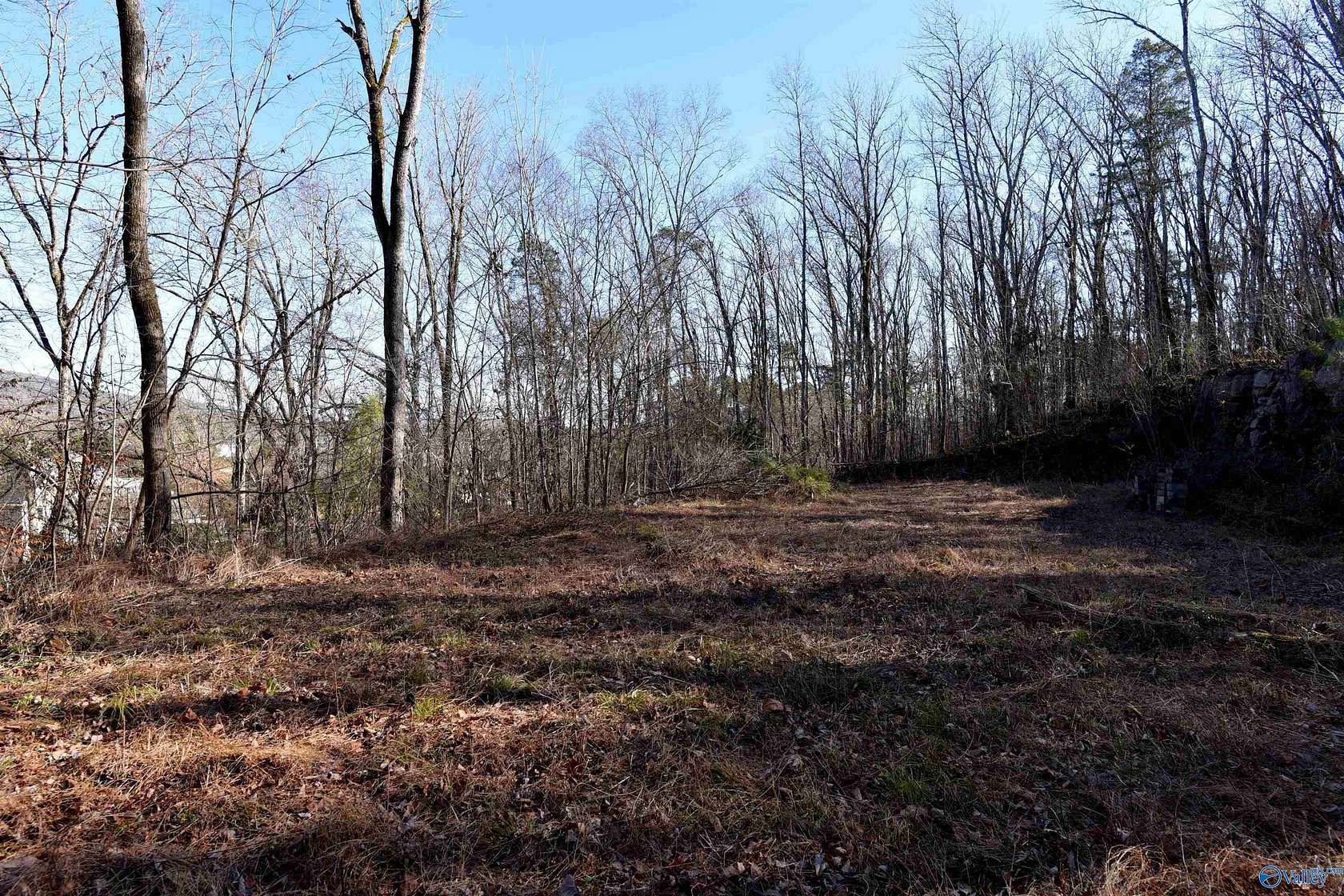 1 Acre of Residential Land for Sale in Owens Cross Roads, Alabama
