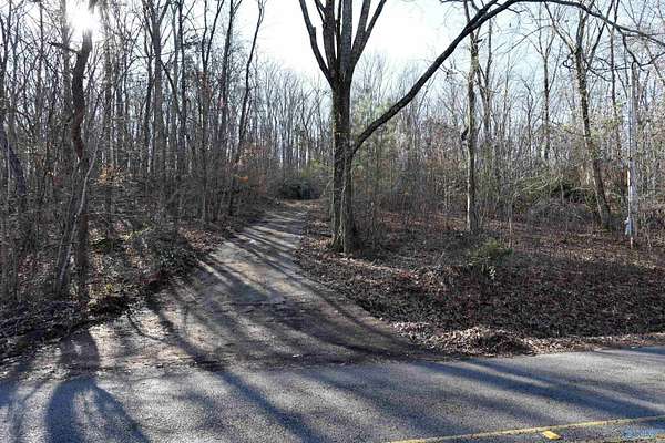 1 Acre of Residential Land for Sale in Owens Cross Roads, Alabama