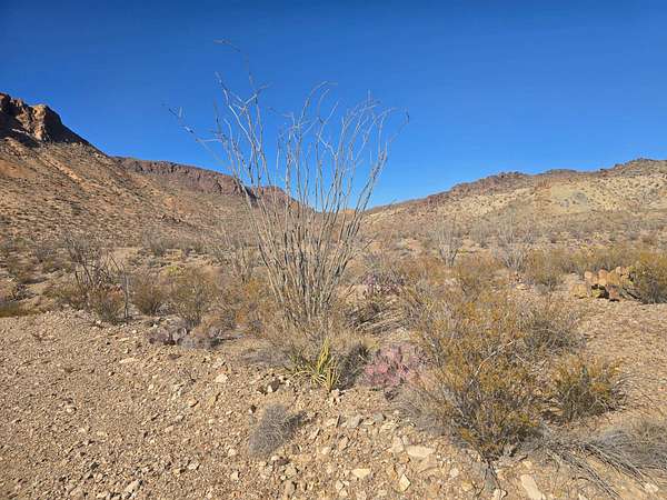26 Acres of Recreational & Residential Land for Sale in Terlingua, Texas
