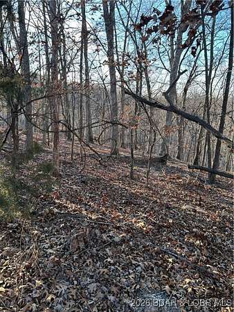0.33 Acres of Residential Land for Sale in Village of Four Seasons, Missouri