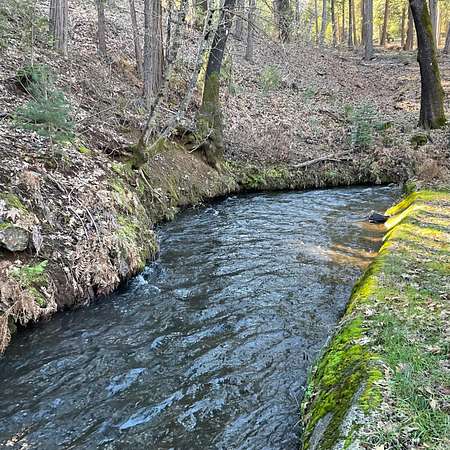 1 Acre of Residential Land for Sale in Hathaway Pines, California