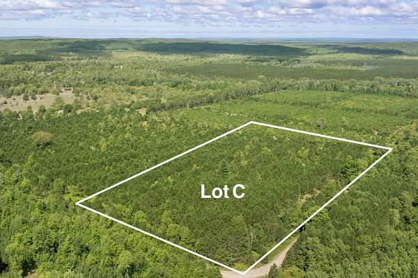 15 Acres of Land for Sale in Thompsonville, Michigan