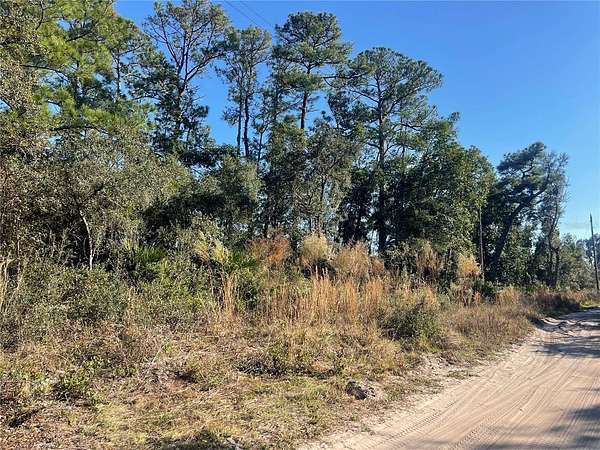 1 Acre of Land for Sale in DeLand, Florida