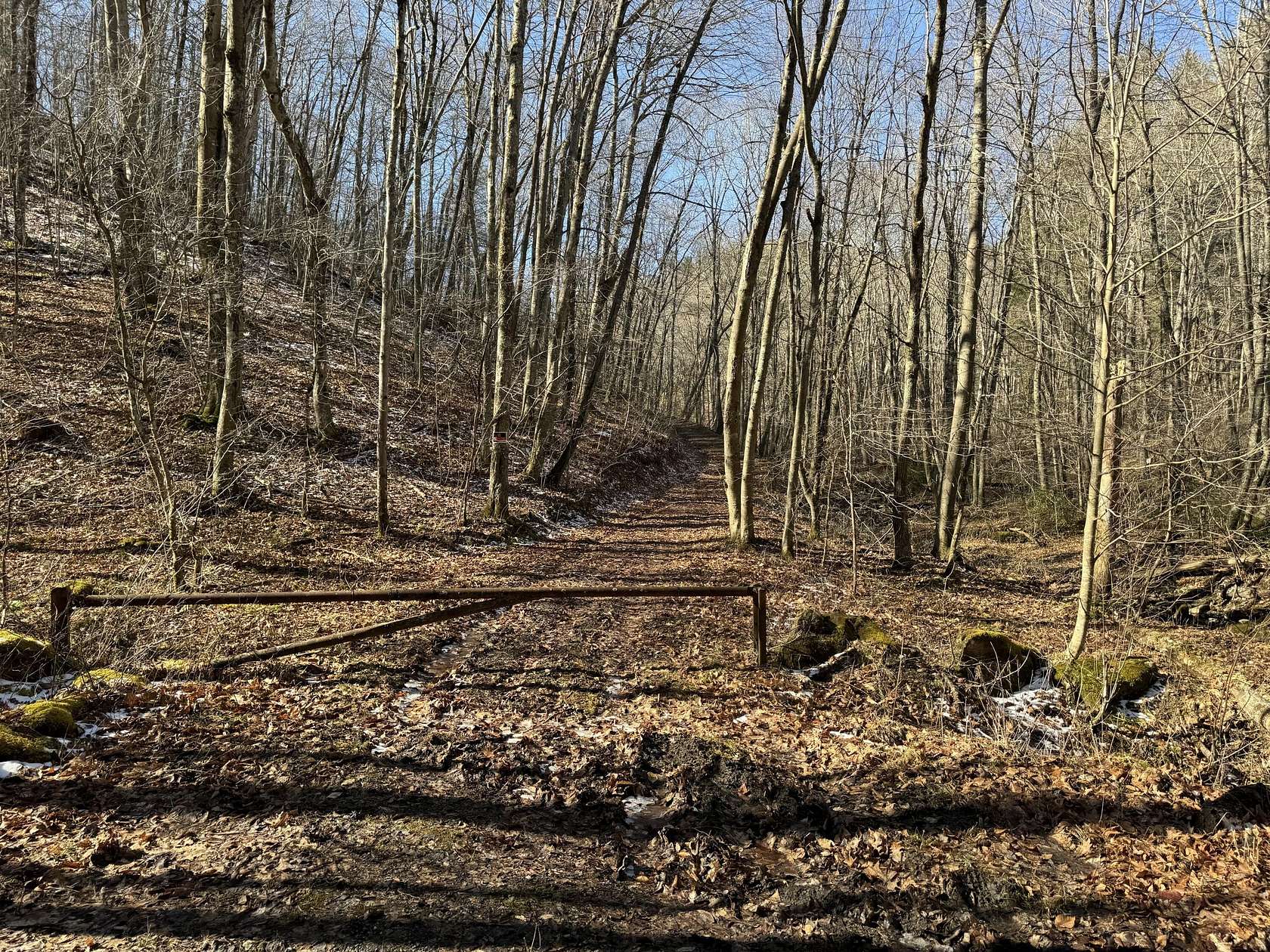 26 Acres of Recreational Land for Sale in Cool Ridge, West Virginia