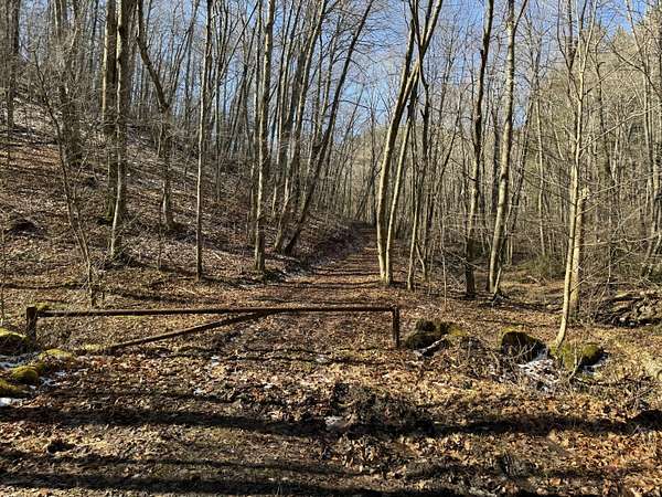 26 Acres of Recreational Land for Sale in Cool Ridge, West Virginia