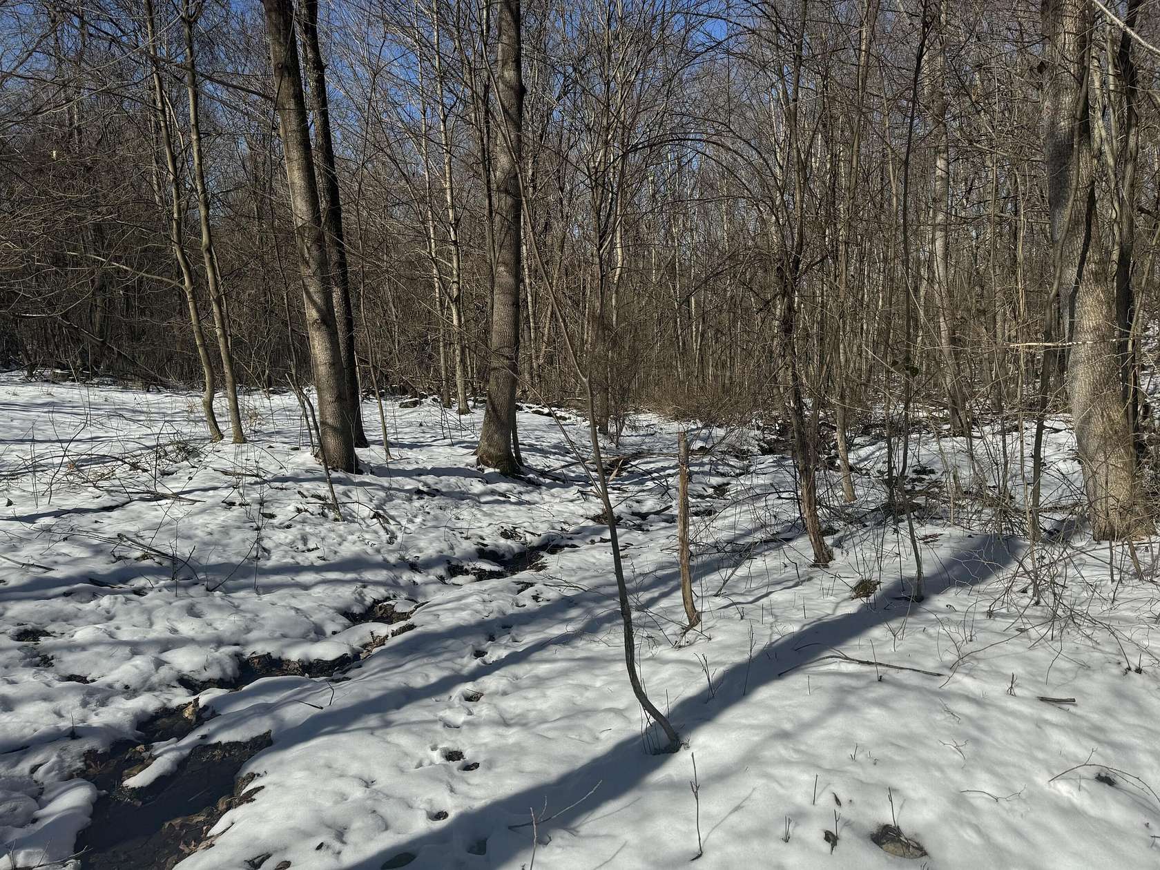 5 Acres of Land for Sale in Moatsville, West Virginia