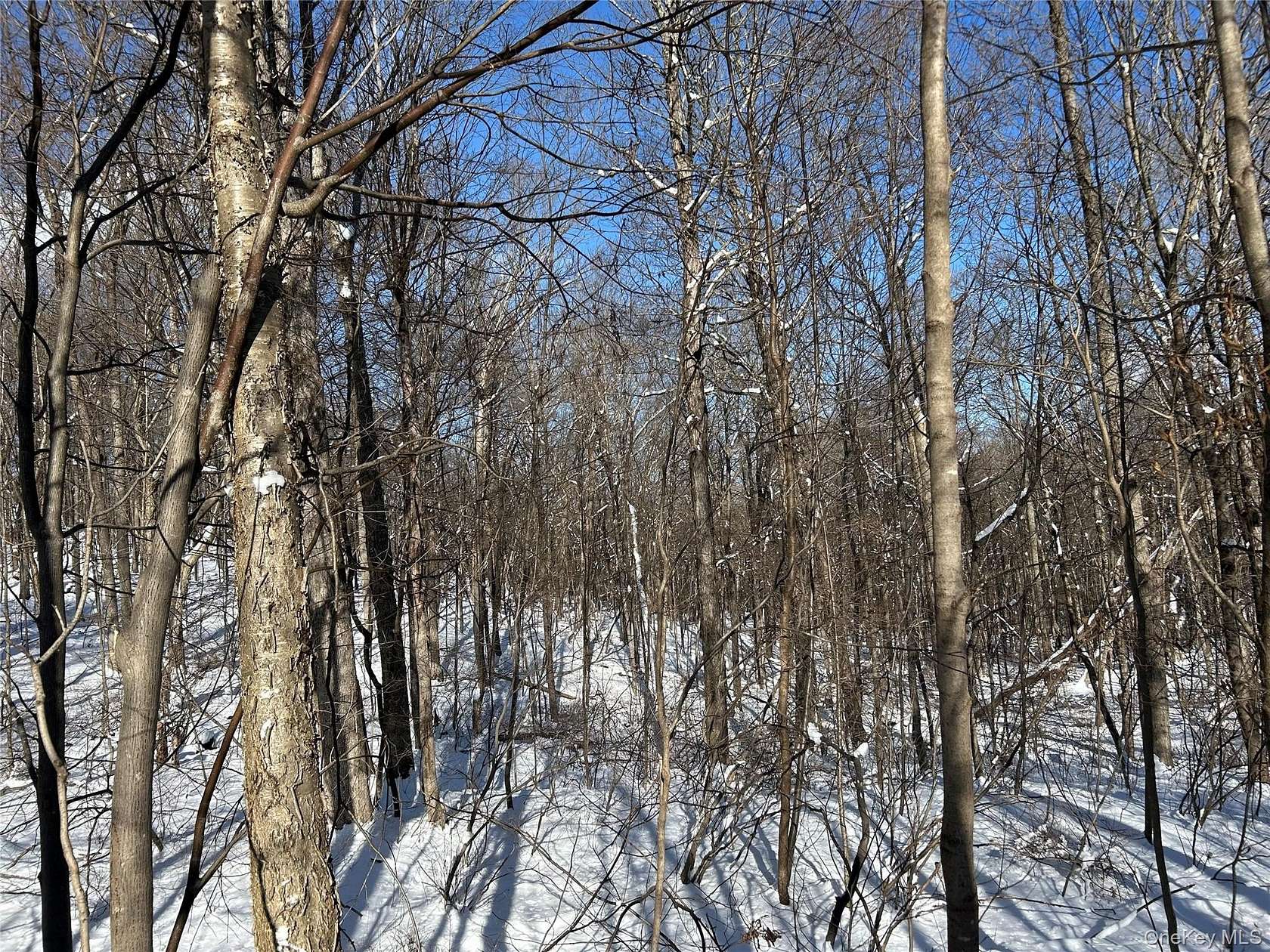 0.46 Acres of Residential Land for Sale in Pawling, New York