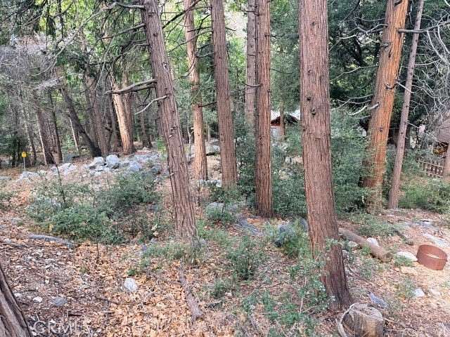 0.13 Acres of Residential Land for Sale in Forest Falls, California