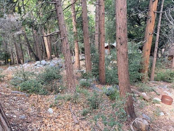 0.13 Acres of Land for Sale in Forest Falls, California