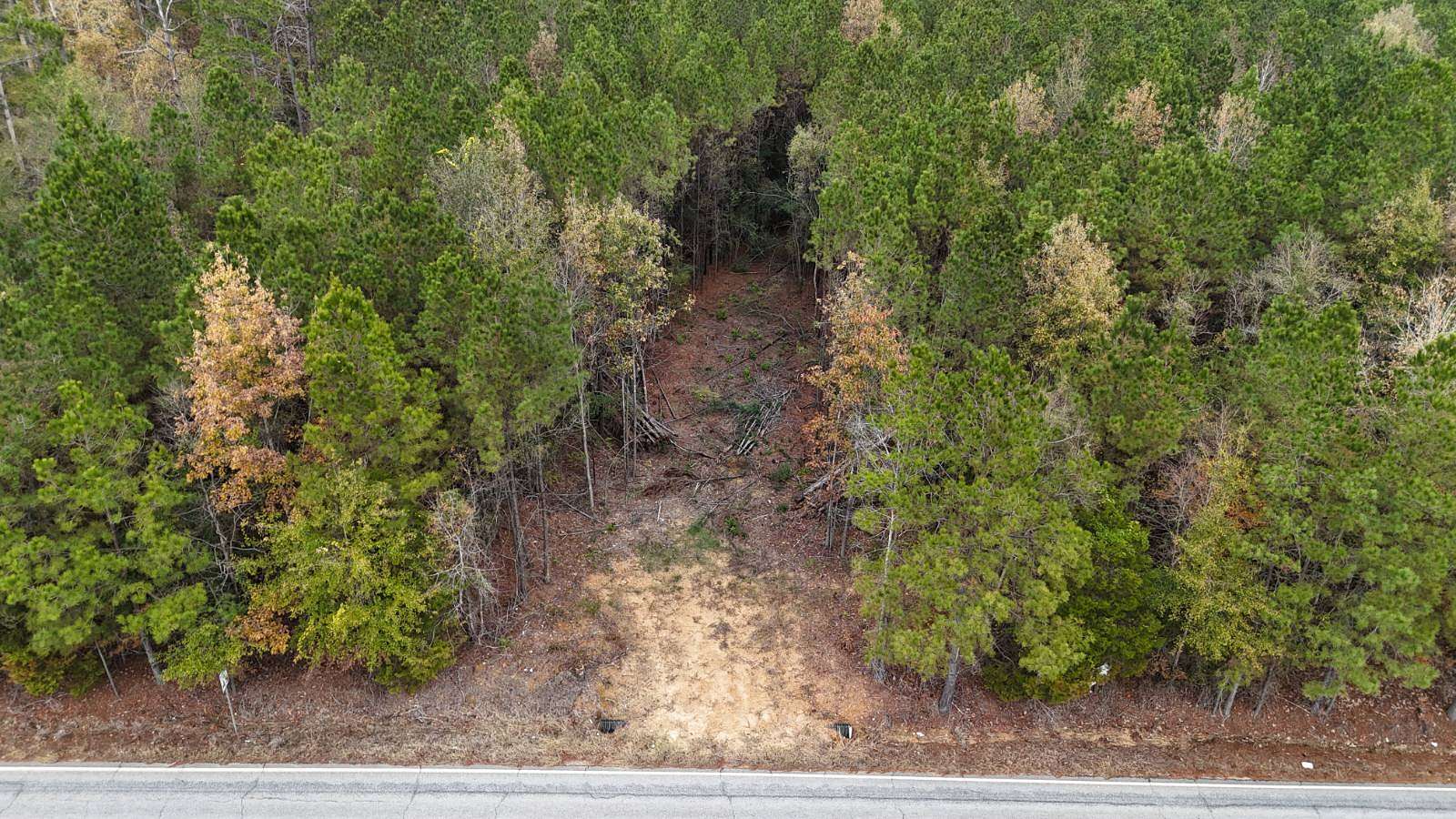 7 Acres of Residential Land for Sale in Olla, Louisiana