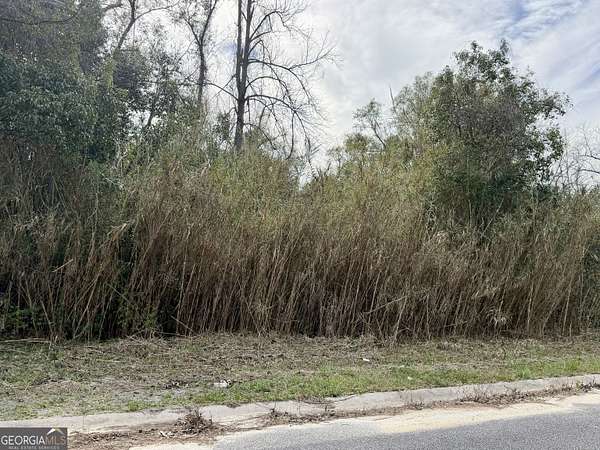 0.15 Acres of Residential Land for Sale in Waycross, Georgia