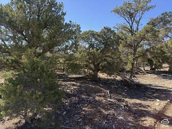 10 Acres of Land for Sale in Fruitland, Utah