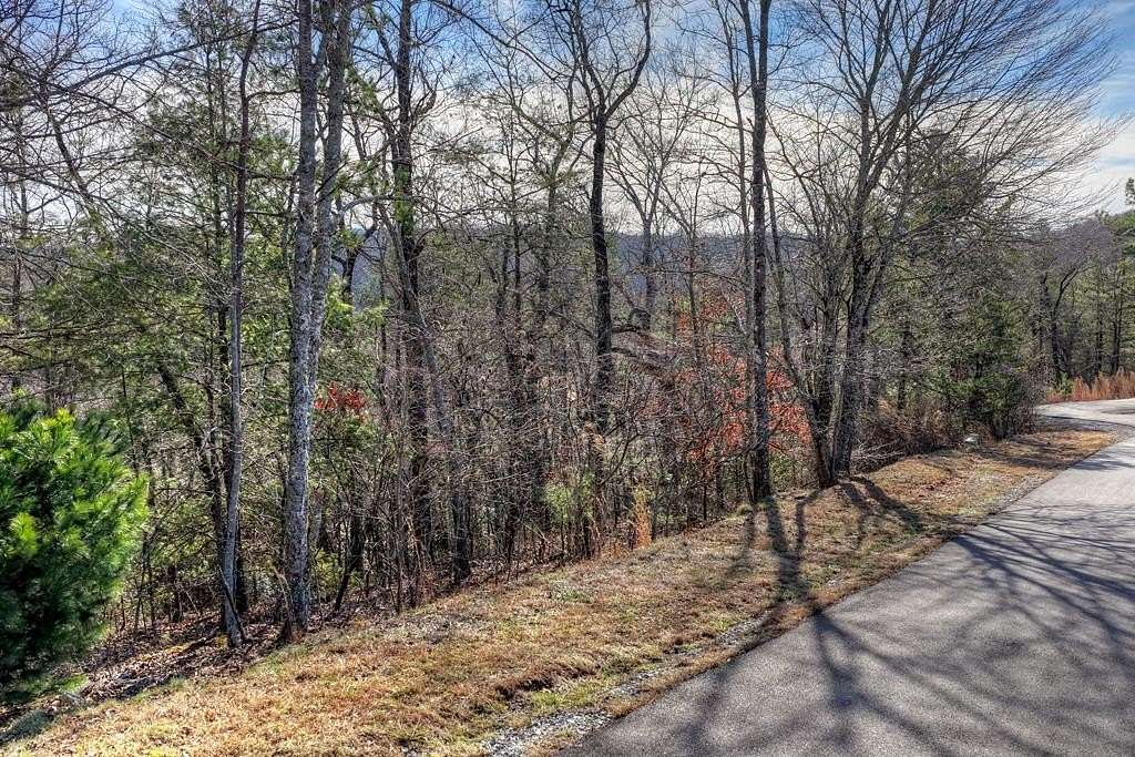 1 Acre of Land for Sale in Mineral Bluff, Georgia