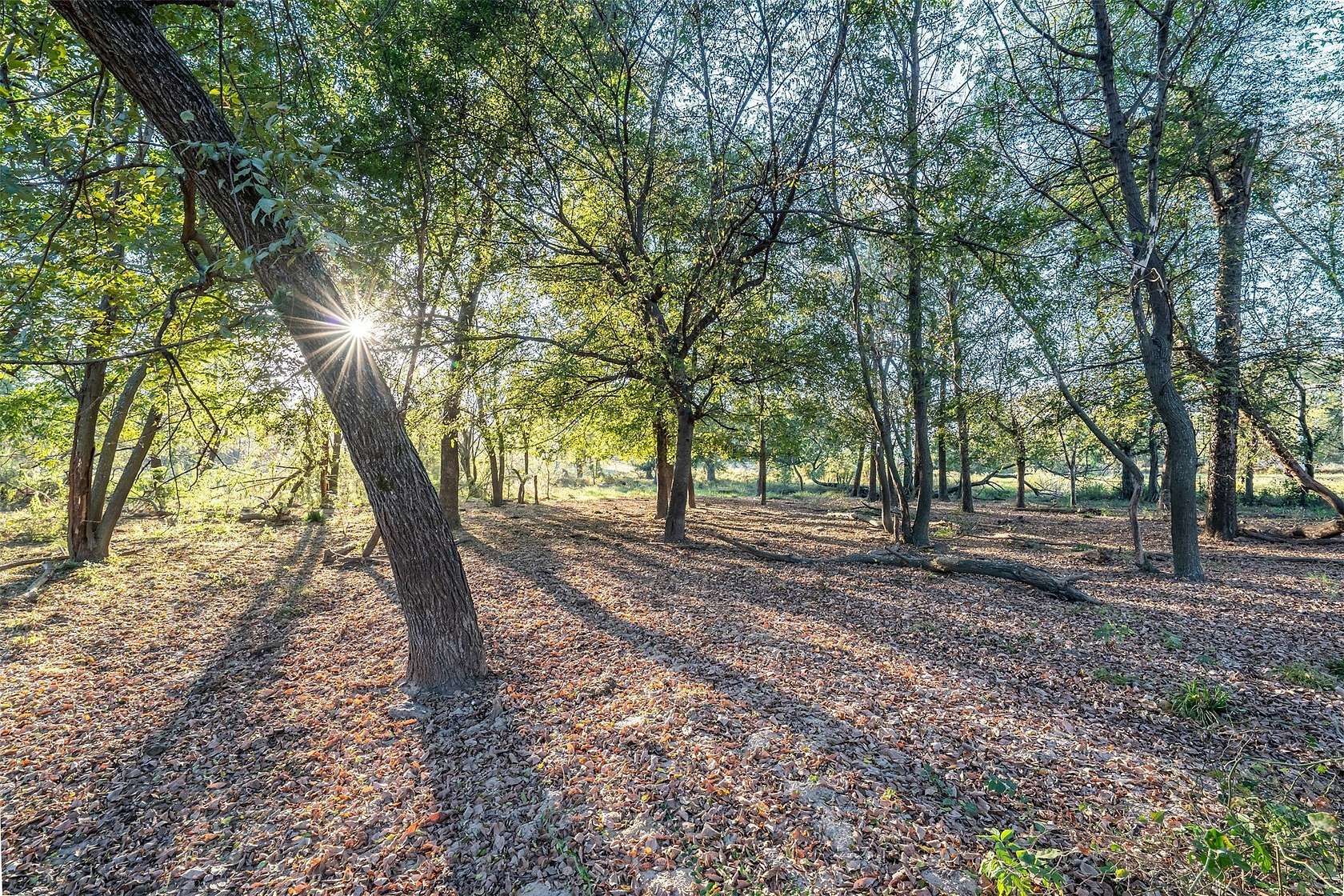 108 Acres of Land for Sale in Yantis, Texas