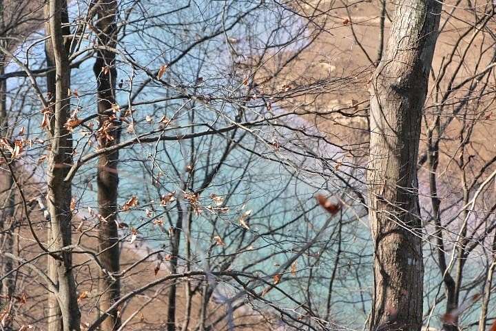 0.42 Acres of Residential Land for Sale in Fountain Run, Kentucky