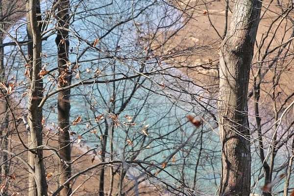 0.42 Acres of Residential Land for Sale in Fountain Run, Kentucky