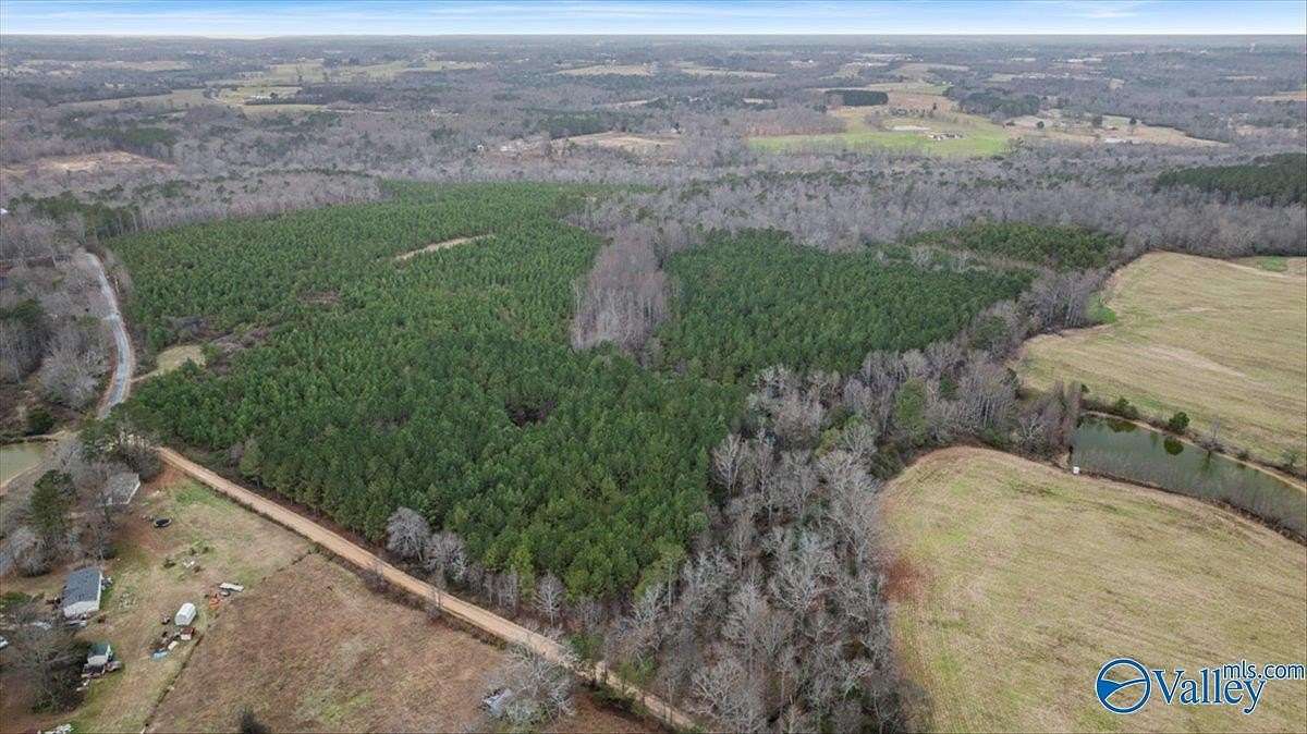 84 Acres of Recreational Land for Sale in Dawson, Alabama