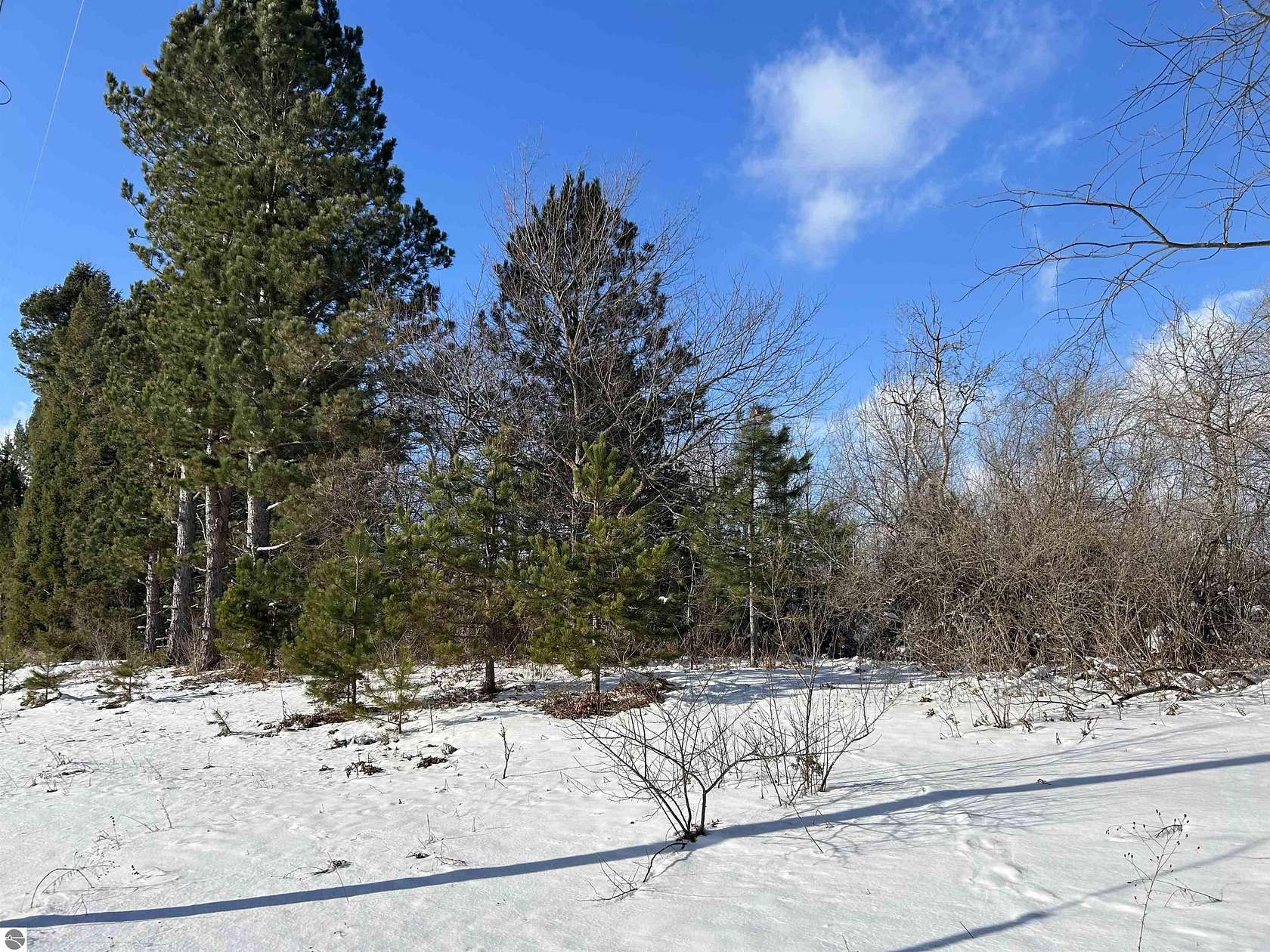 9.53 Acres of Residential Land for Sale in Beulah, Michigan